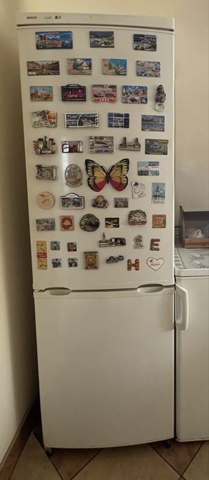 Biała Lodówka BOSH