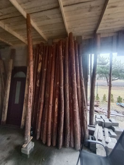 Stemple budowalne 100 szt. długie