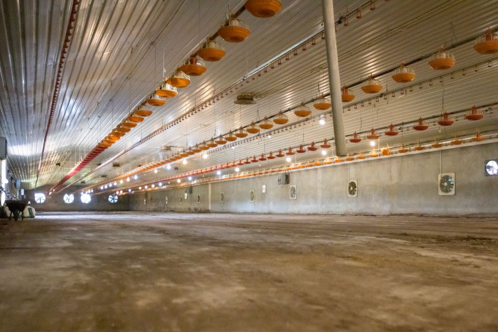 Budynek Kurnik 1600m2