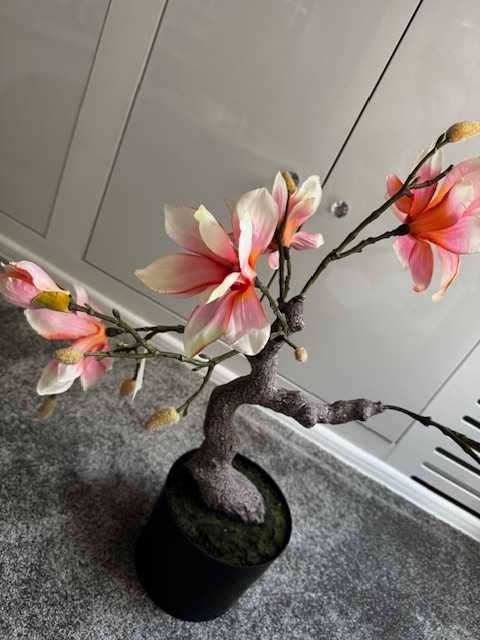 Piękna Magnolia sztuczna w doniczce 80cm drzewko Nowa