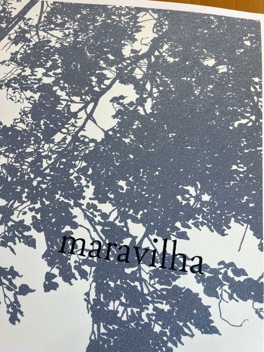 Serigrafia de Julião Sarmento Maravilha 2006 Alvalade • OLX.pt