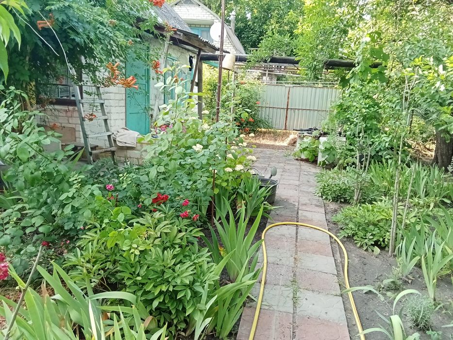 Терміново продаю дачу СТ''Мічурінець'', 6 соток,садок ,город.