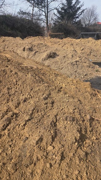 Oddam humus, ziemię za darmo