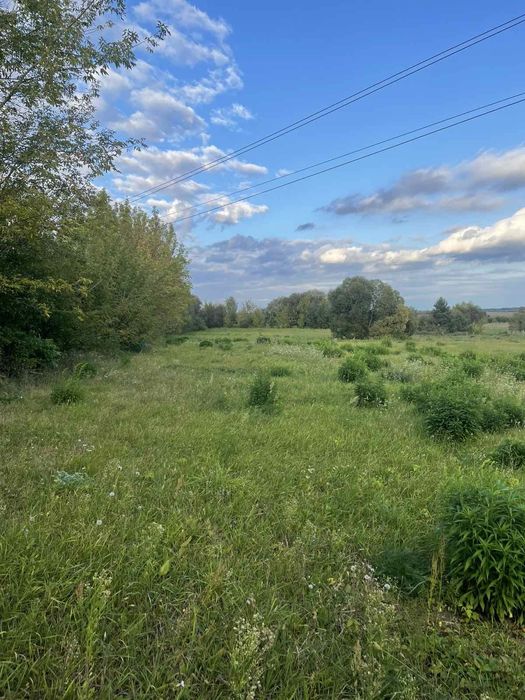 Будинок садиба біля лісу