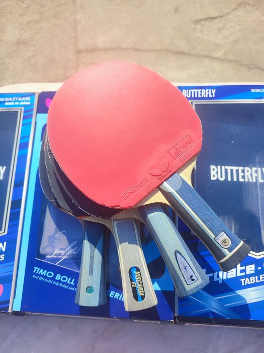 Butterfly-Timo-boll spirit-alc-zlc -Apolonia -Peter Korbel sk7