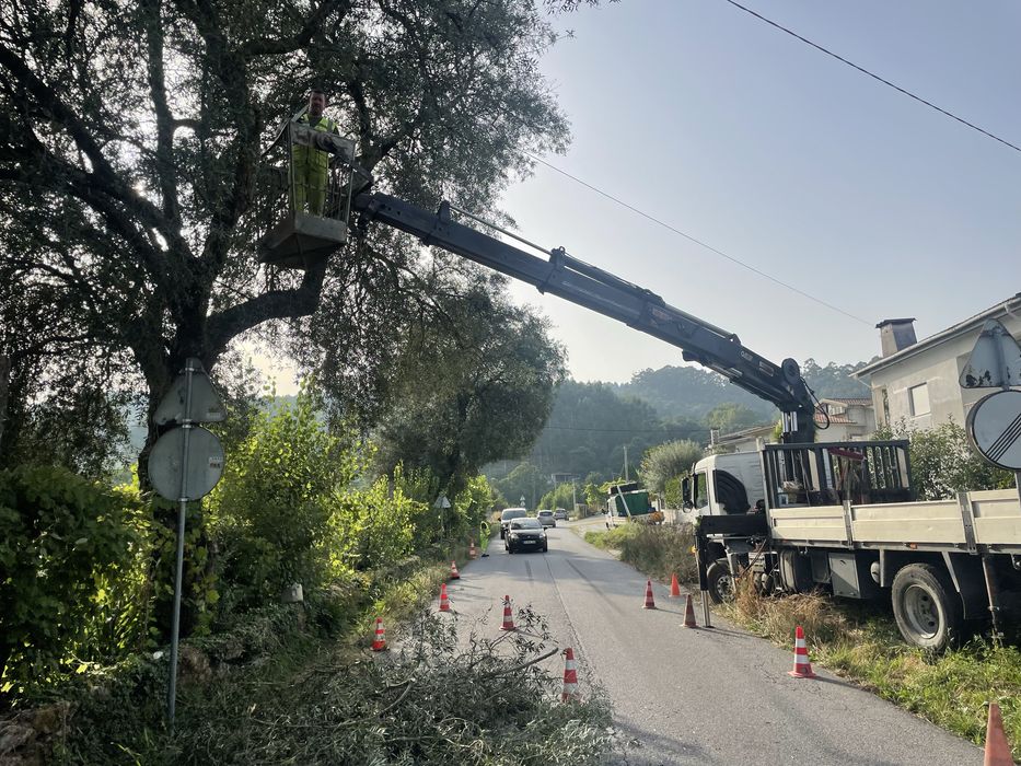 Recolha e Tratamento de Entulhos / aluguer de contentores