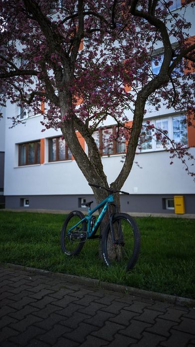 Frameset trek remedy 7 2020 rozmiar m