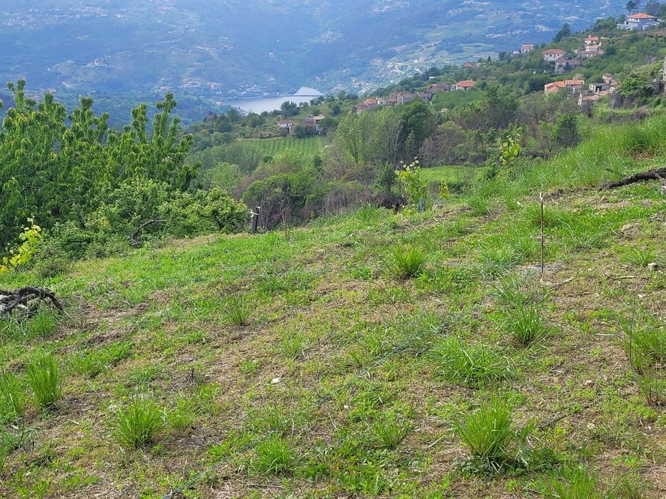 Terreno DOURO projeto aprovado+licença construção- vistas RIO!