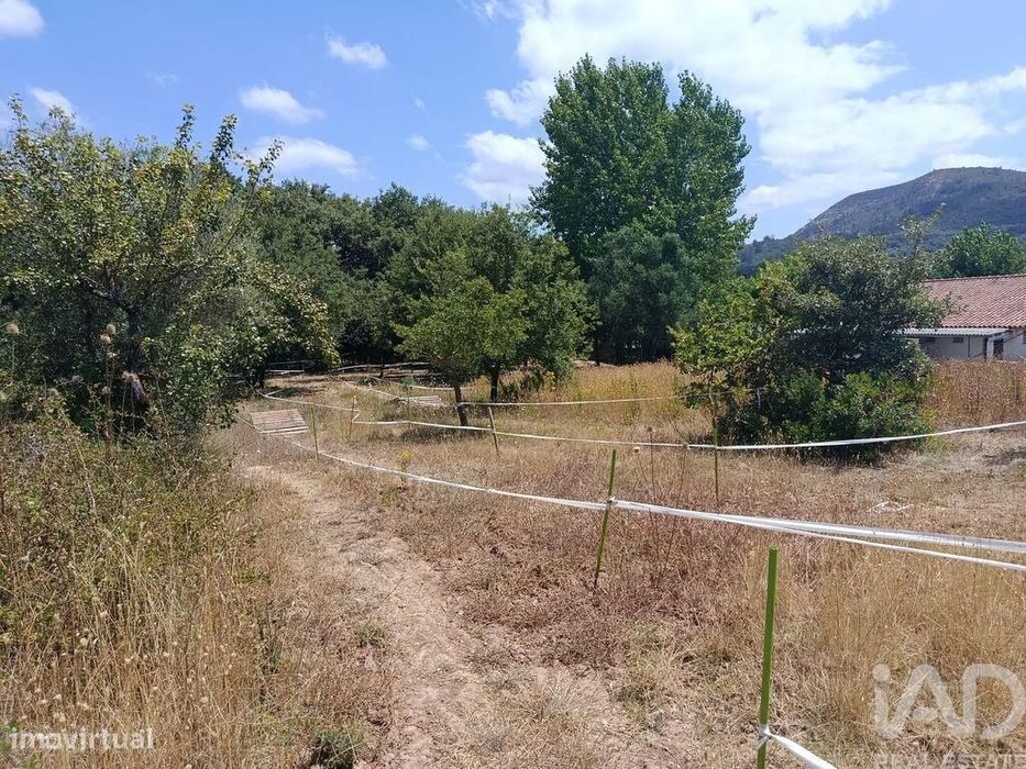 Terreno Agrícola em Porto de Mós - São João Baptista e São Pedro