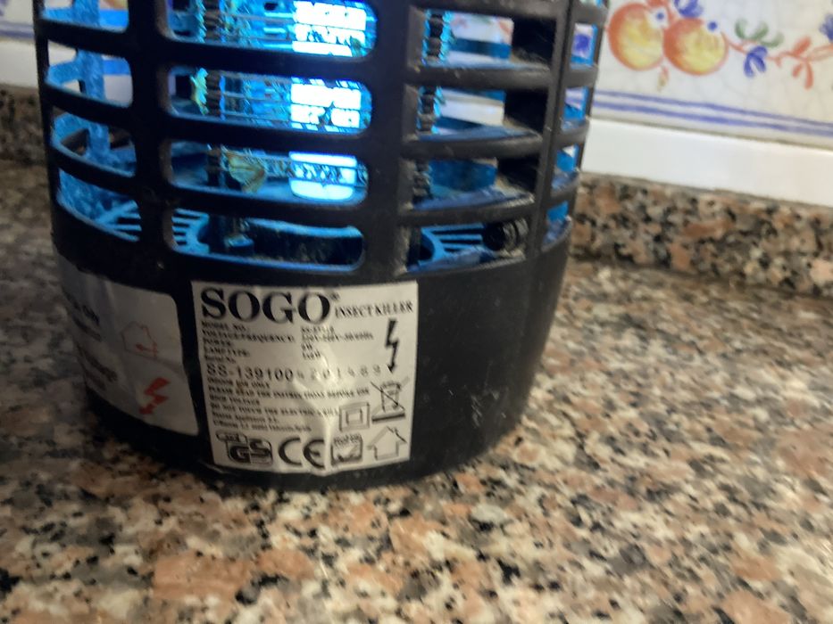 Apanhador de insectos em bom estado