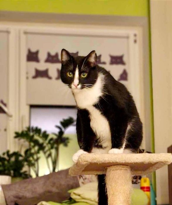 Czarna mama i dzieciaki