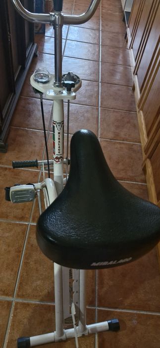 Bicicleta estática Miralago