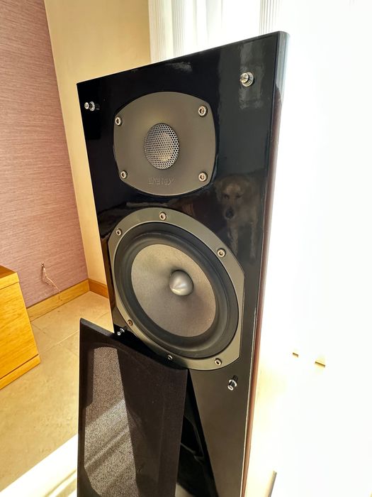 Kolumny Energy C-300 + amplituner Onkyo TX-SR507