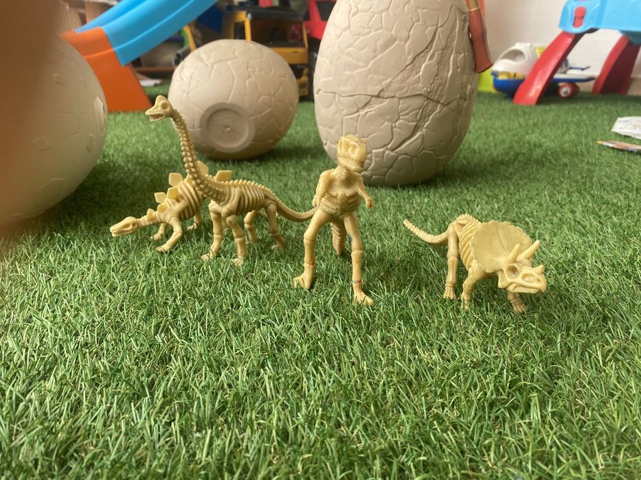Dinosaur Skeleton Models64738327214849124