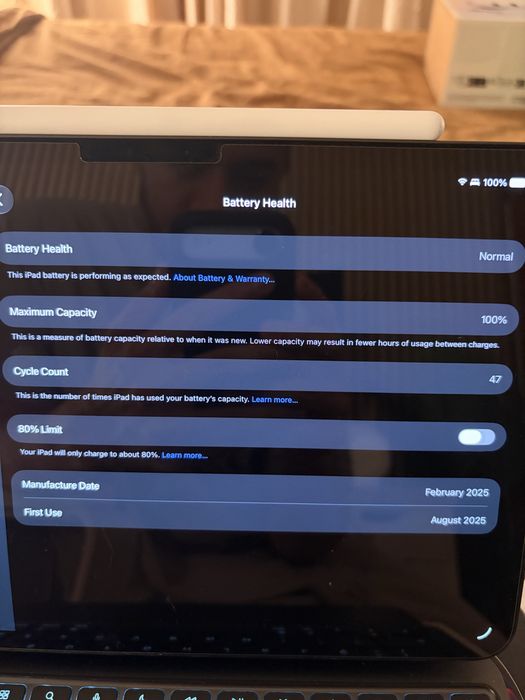 Ipad pro 11 M4 256gb completo