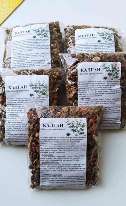 Цілющий корень Калган (Перстач, Лапчатка)кустики для посадки