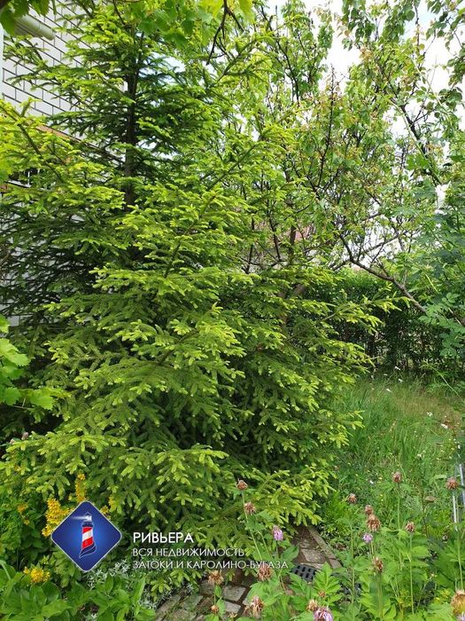 Продам небольшой, уютный дом в Каролино-Бугазе