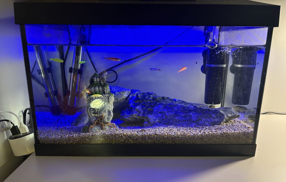 AQUAEL Leddy 40 Day&Night - zestaw akwariowy 2.0 czarny full whposazen