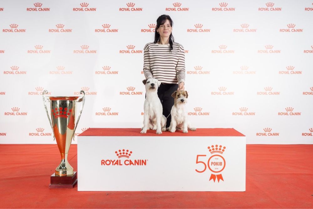 Професійний кінолог. Інструктор та суддя з робочих якостей КСУ