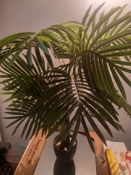 Planta palmeira artificial