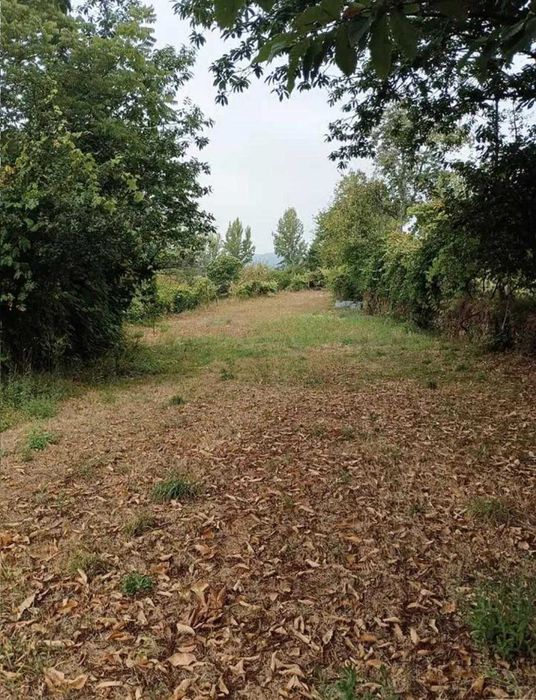 Terreno em Alvarenga-Arouca