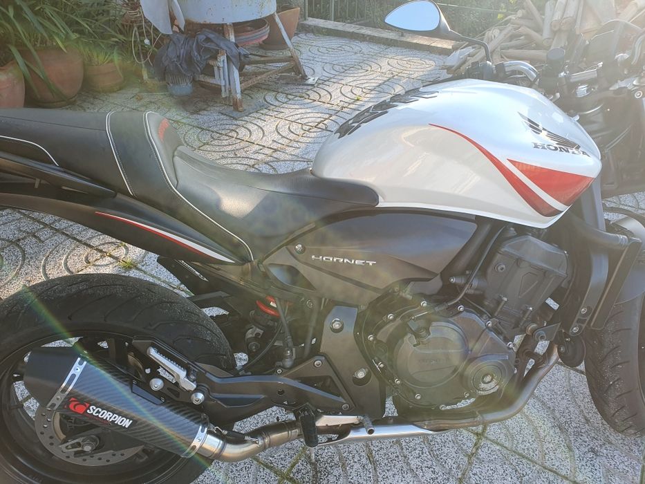 Honda cb600 hornet
