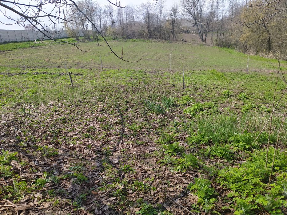 Продаю земельну ділянку із глиняним будиночком