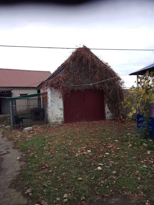 Продам будинок в с. Троїцьке