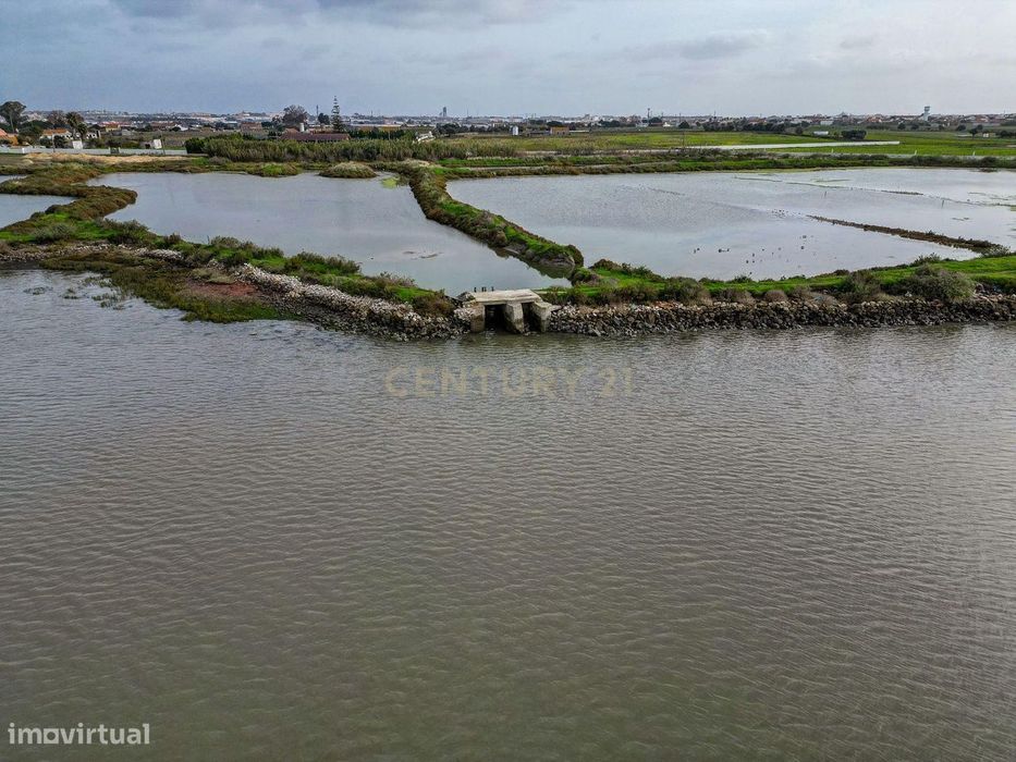 Marinha para Aquacultura – 5 Hectares | Sarilhos Grandes