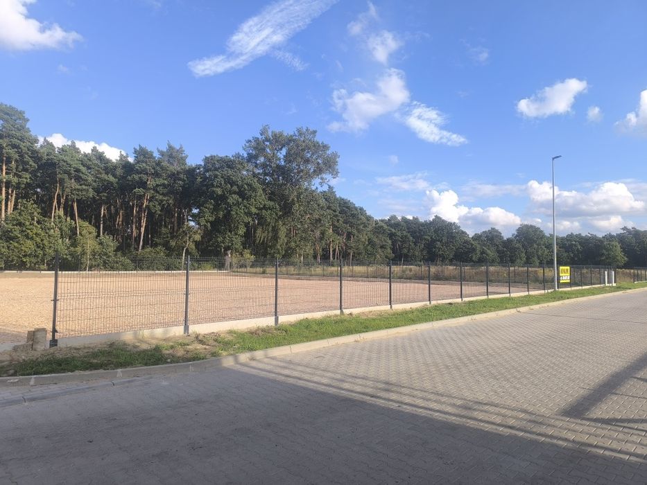 Zdjęcie 8
