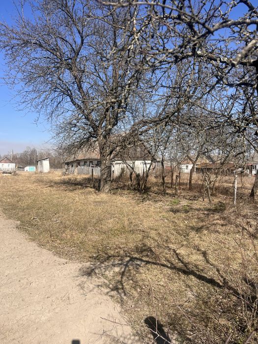 Земельна ділянка в с. Дубовець з призначенням під будівництво