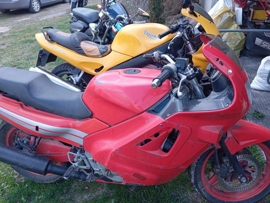 Triumph 955i 2000rok