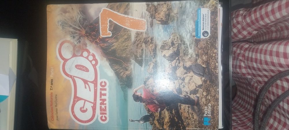 Livros de Fichas 7. Ano