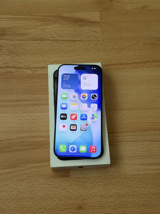 iPhone 16 Pro Max 256 GB Black Titanium