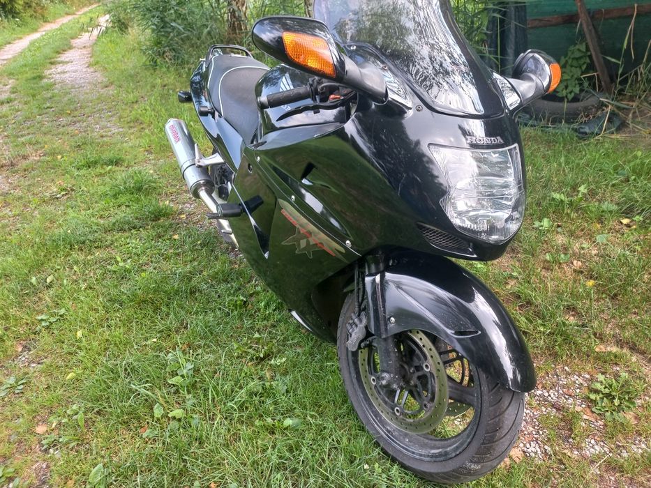 CBR 1100xx blackbird