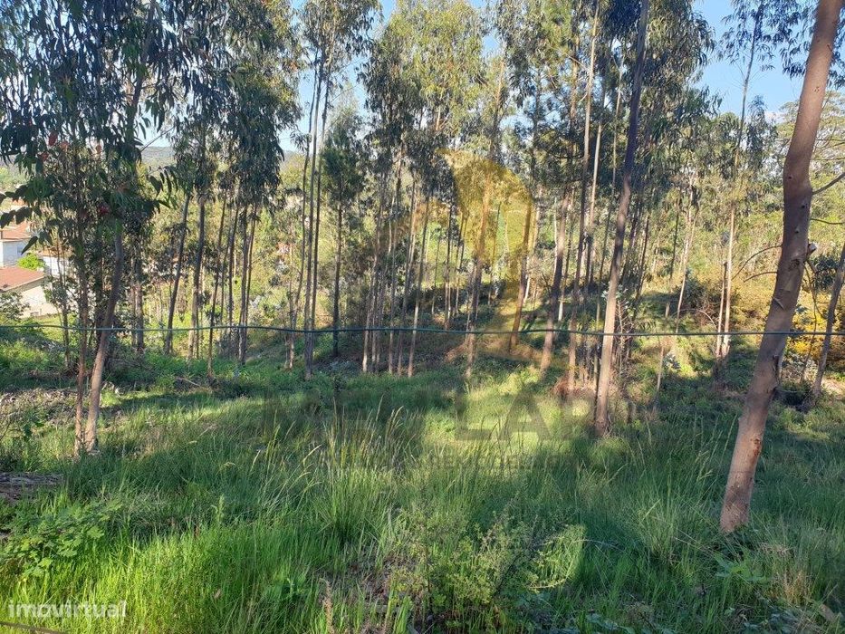 Terreno em Pigeiros — Caldas De São Jorge E Pigeiros, Aveiro