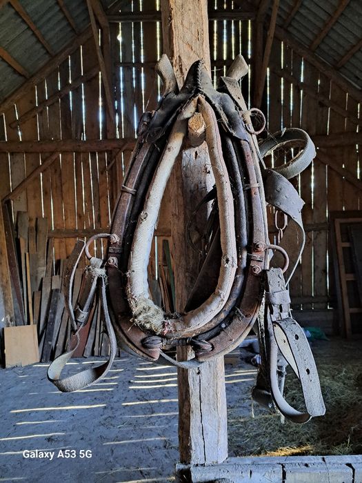 Uprząż dla konia kompletna