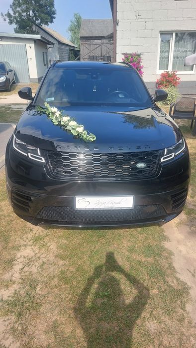 Auto do ślubu wynajem wolne terminy 2024/2025