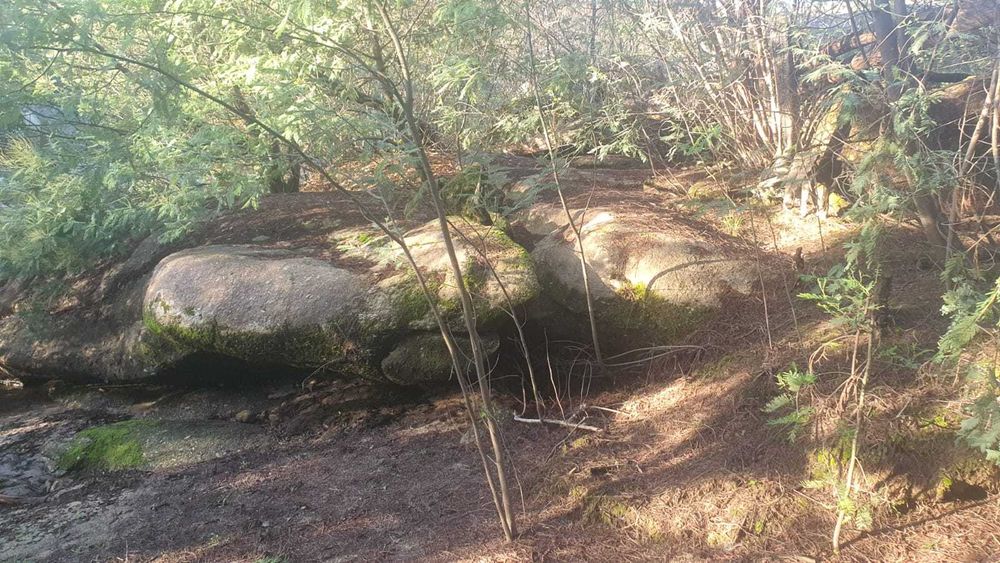 Propriedade com 6ha à Beira do Rio Mondego