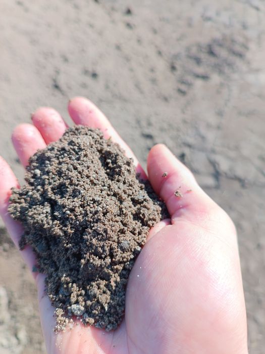 Ziemia ogrodowa/ pod trawnik, kora, kamień, czarnoziem, trawa z rolki