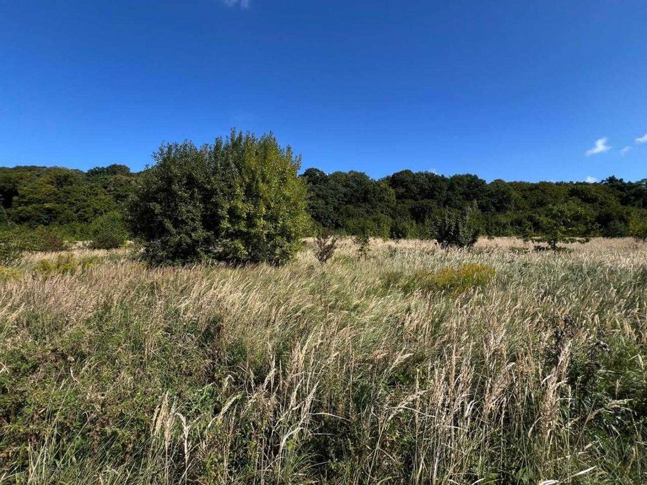 ділянка 72сот під забудову котеджів з елітними сусідами в с.Підберізці