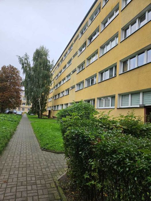 Mieszkanie w zielonej części Łodzi bisko Akademi Sztuk Pięknych do wynajęcia od zaraz