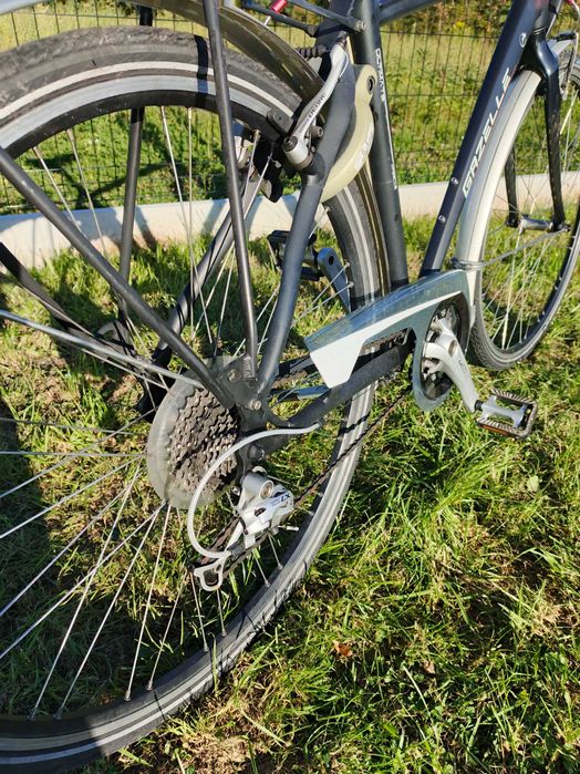 Rower GAZELLE męski