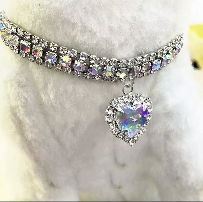 Нашийник для собак та котів