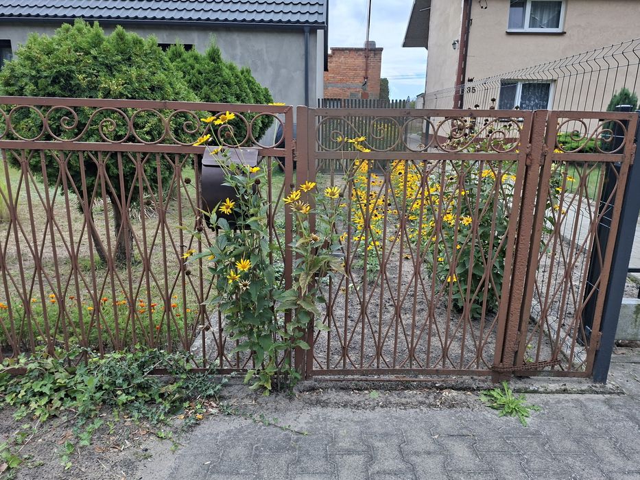 Metalowe ogrodzenie na sprzedaż