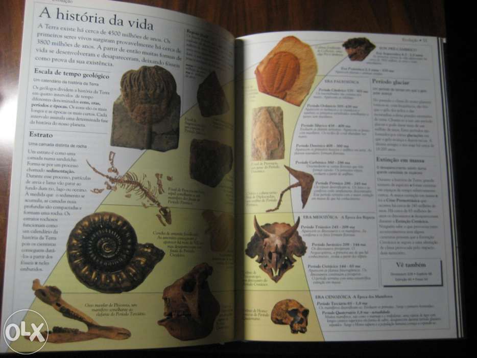 Dicionario Escolar DA Natureza