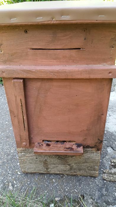 Пастка для бджолиного роя ловушка для роя пчел