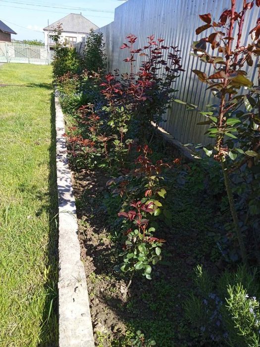 Продам житловий будинок