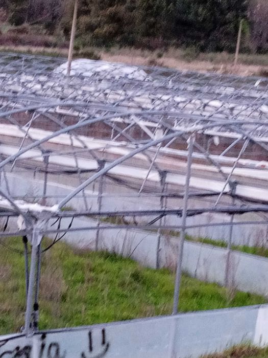 Vendo estufas metálicas