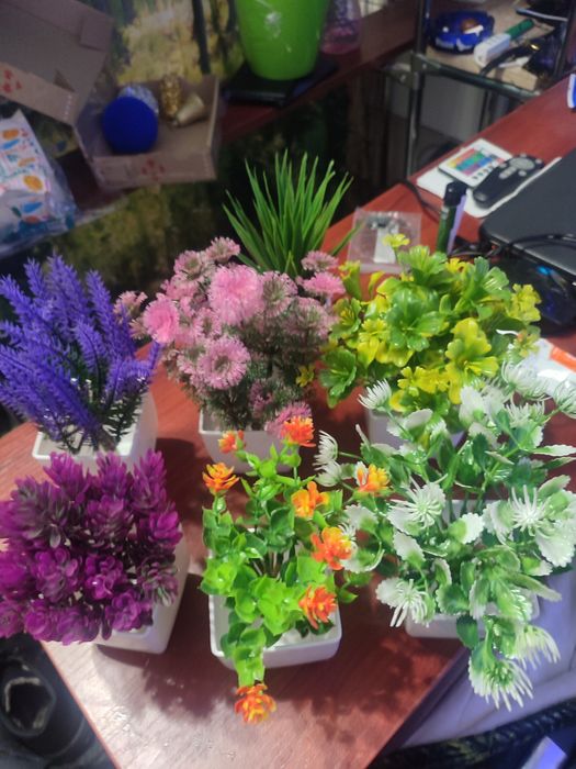 Яскраві штучні рослини . 7 штук.
